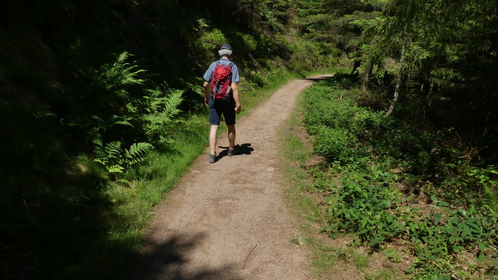 Marcus wandert auf Waldweg.