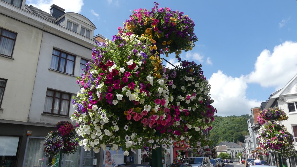 Blumenampeln in Malmedy.