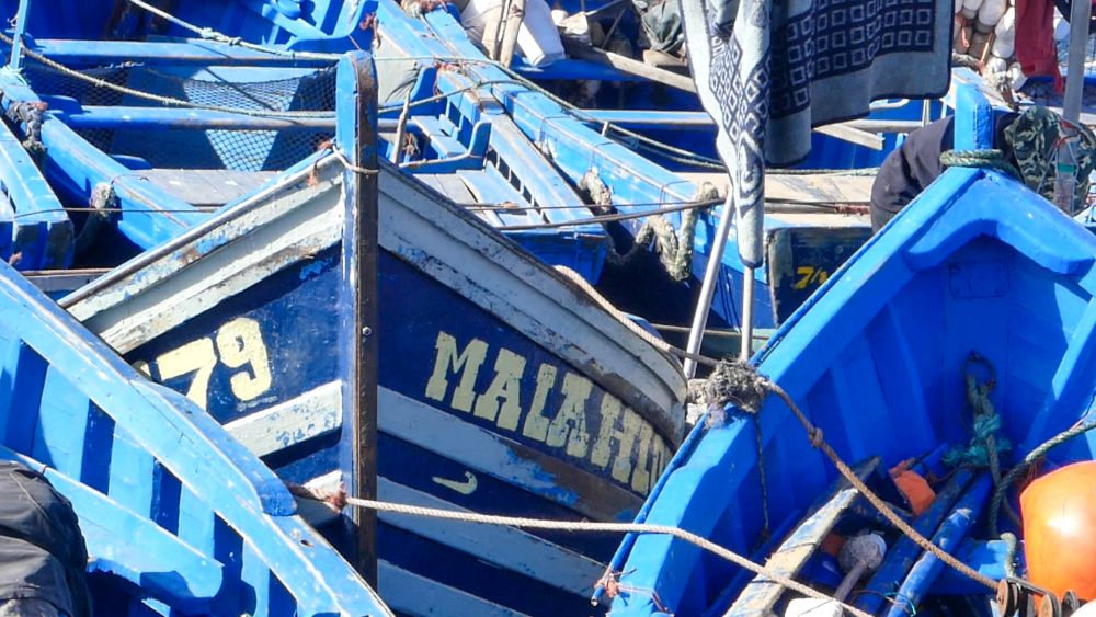 Blaue Fischerboote liegen dicht an dicht im Hafen.