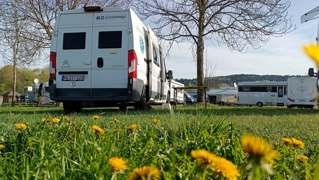 Weißes Wohnmobil auf Gras geparkt, im Vordergrund Löwenzahn und im Hintergrund andere Wohnmobile. Unter einem klaren Himmel sind kahle Bäume zu sehen.