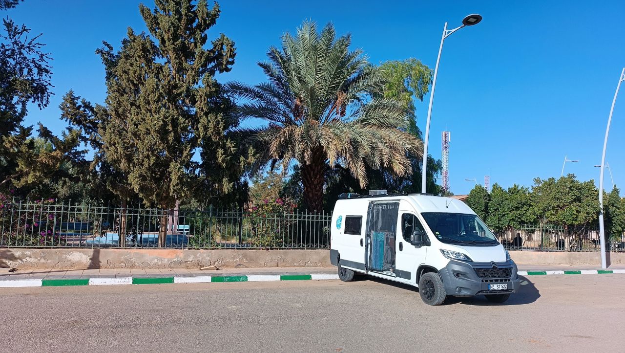 Wohnmobil steht auf einem Parkplatz, dahinter wachsen große Palmen.