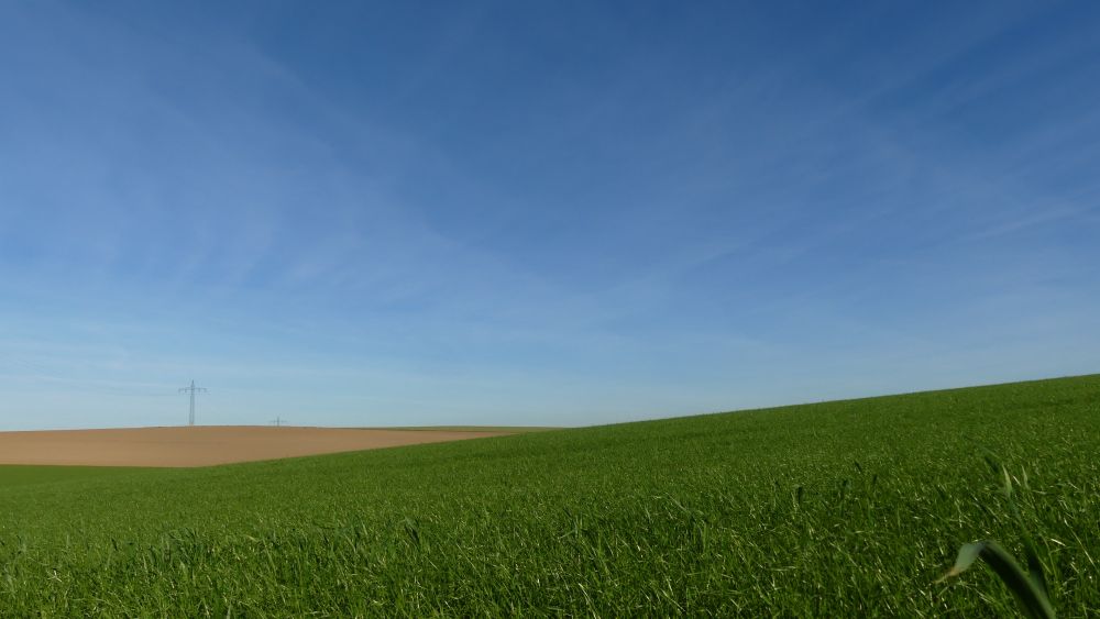 Flache grüne Felder unter blauem Himmel.
